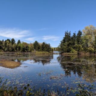This Easy 3-Mile Massachusetts Trail Earns Its Bucket List Spot When the Leaves Turn