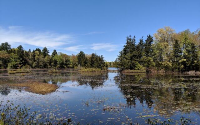 This Easy 3-Mile Massachusetts Trail Earns Its Bucket List Spot When the Leaves Turn