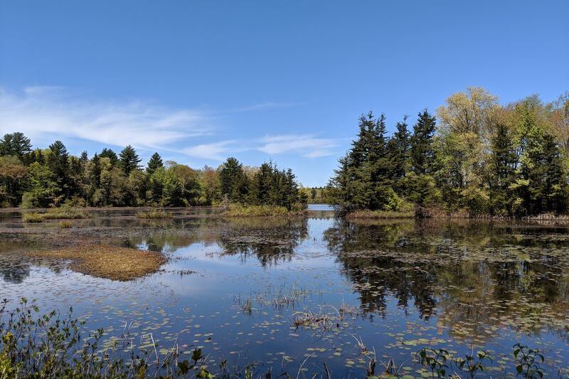 This Easy 3-Mile Massachusetts Trail Earns Its Bucket List Spot When the Leaves Turn