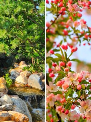 This Free Omaha Arboretum Has More Than 1,000 Trees and Shrubs
