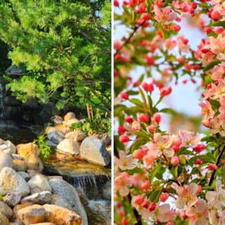This Free Omaha Arboretum Has More Than 1,000 Trees and Shrubs