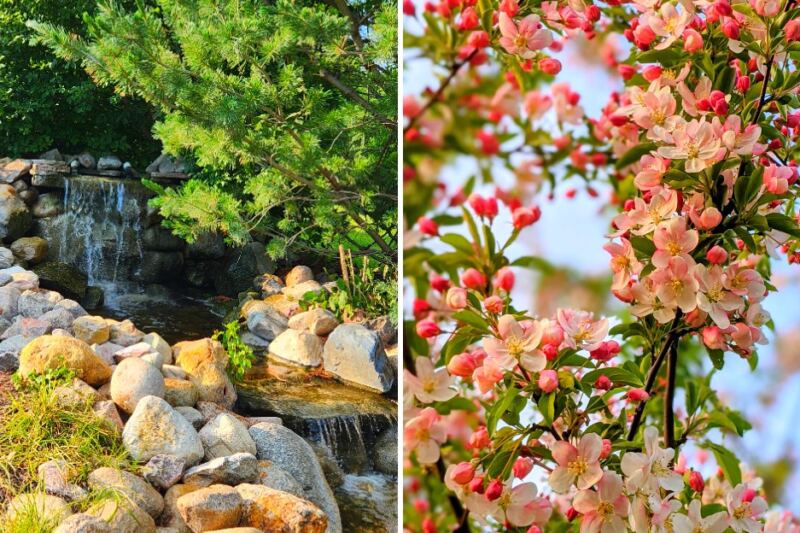 This Free Omaha Arboretum Has More Than 1,000 Trees and Shrubs