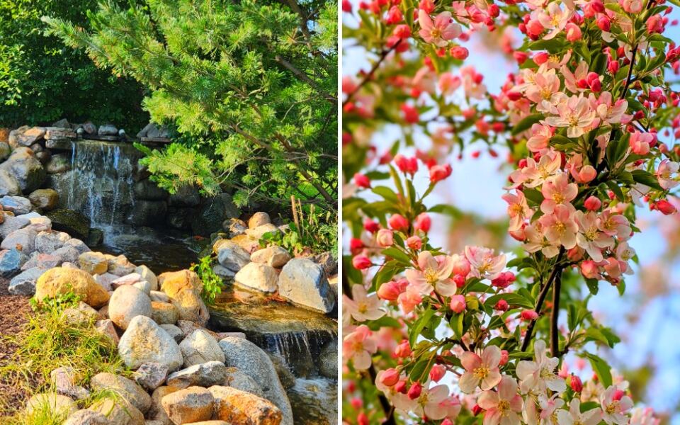 This Free Omaha Arboretum Has More Than 1,000 Trees and Shrubs