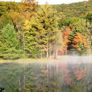 14 Massachusetts Hikes Locals Save for the Weeks When the Leaves Hit Peak Color