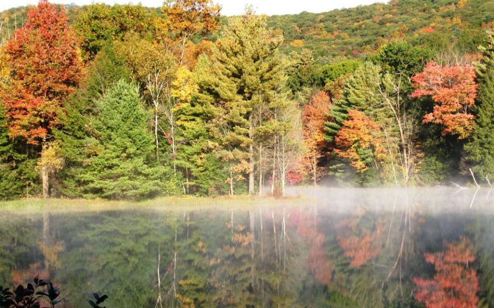 14 Massachusetts Hikes Locals Save for the Weeks When the Leaves Hit Peak Color