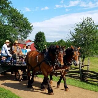 This New Jersey Living-History Farm Lets You Watch 1890s Farm Life In Motion