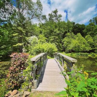 A Once-Private New Jersey Garden Is Now Free to Walk, With Rock Gardens and Ponds