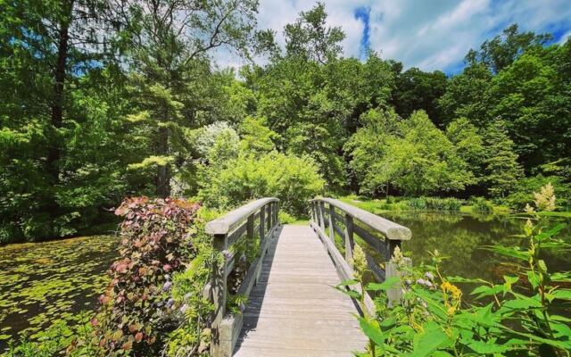 A Once-Private New Jersey Garden Is Now Free to Walk, With Rock Gardens and Ponds