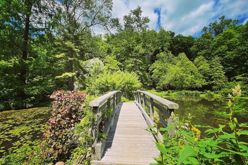 A Once-Private New Jersey Garden Is Now Free to Walk, With Rock Gardens and Ponds