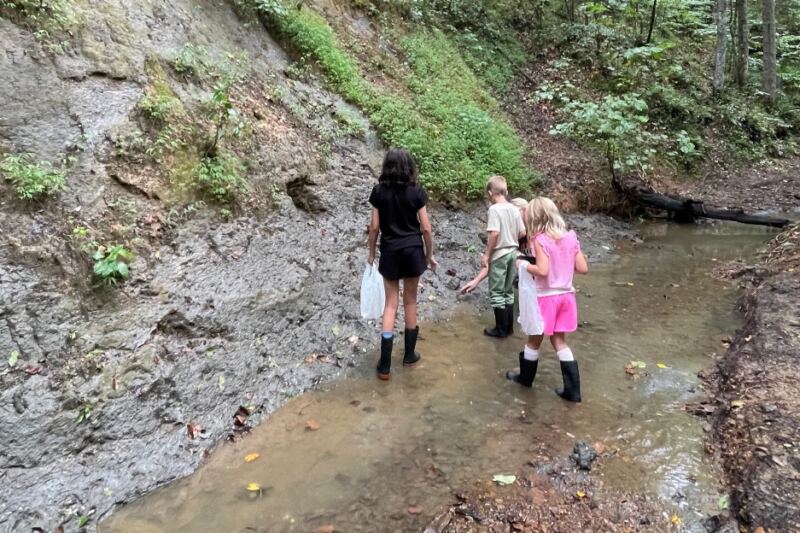 This University-Run Tennessee Science Center Is Where You Collect Real Fossil Shells And Keep Them