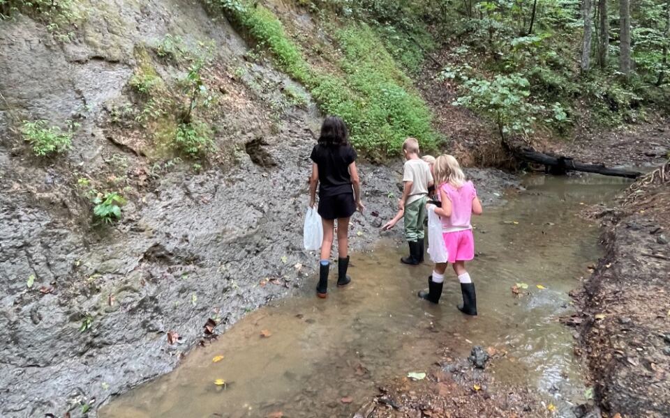 This University-Run Tennessee Science Center Is Where You Collect Real Fossil Shells And Keep Them