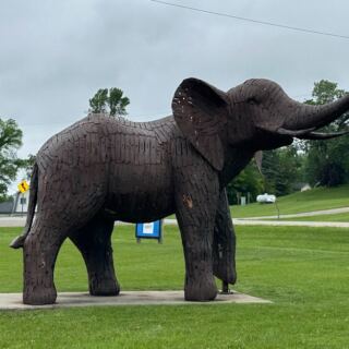 This Tiny Minnesota Town Has A Life-Size Elephant Made From 955 Mower Blades