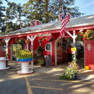 Seven Oregon U-Pick Farms Where You Fill a Bucket With Peaches, Plums, or Pears for a Few Dollars