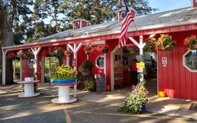 Seven Oregon U-Pick Farms Where You Fill a Bucket With Peaches, Plums, or Pears for a Few Dollars