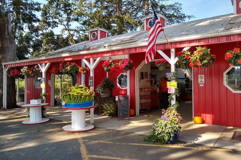 Seven Oregon U-Pick Farms Where You Fill a Bucket With Peaches, Plums, or Pears for a Few Dollars