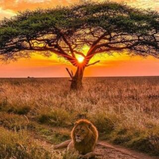 15 African Destinations From Desert Dunes to Tropical Islands