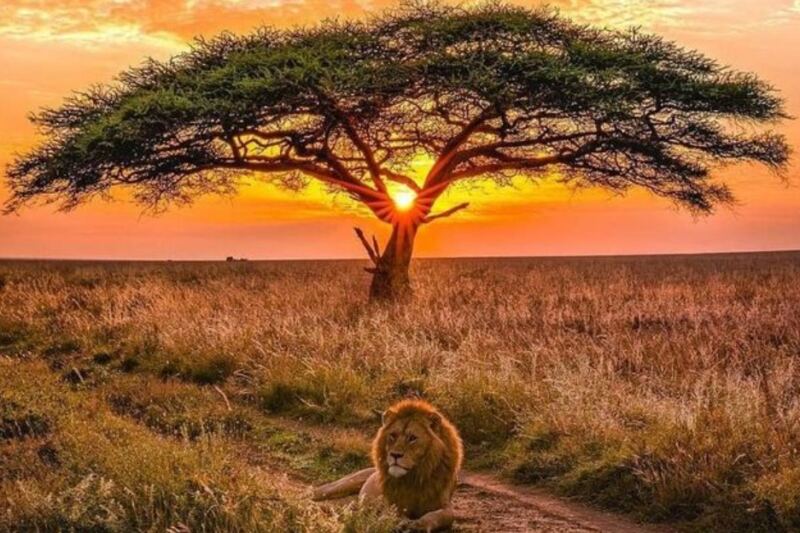15 African Destinations From Desert Dunes to Tropical Islands