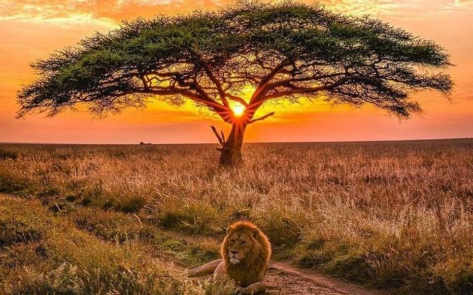 15 African Destinations From Desert Dunes to Tropical Islands