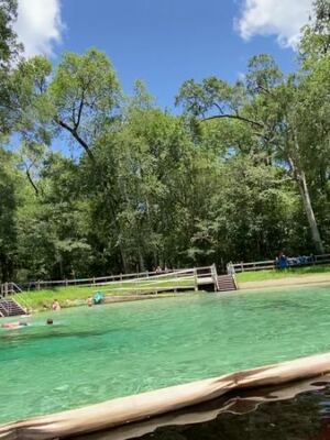You Can Snorkel a Crystal-Clear Spring Run Over Ancient Limestone at This Free Florida Park Near Gainesville