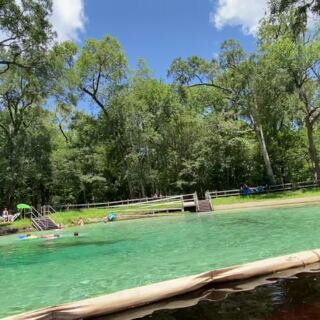 You Can Snorkel a Crystal-Clear Spring Run Over Ancient Limestone at This Free Florida Park Near Gainesville