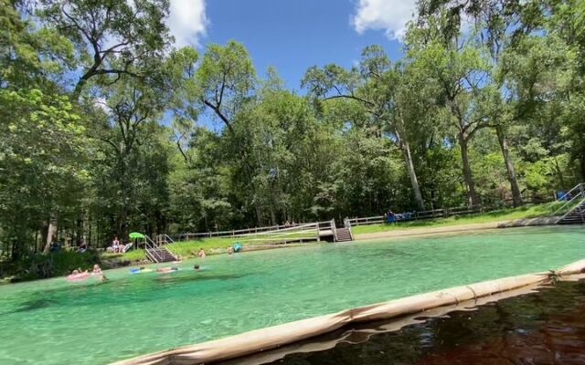 You Can Snorkel a Crystal-Clear Spring Run Over Ancient Limestone at This Free Florida Park Near Gainesville