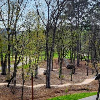 Miles Of Wild Trails Start At A South Knoxville Park Most Tennesseans Have Never Heard Of