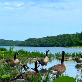 This Massive Urban Park in Kansas City, Kansas, Offers Lake Views, Forest Trails, and Unexpected Scenic Beauty