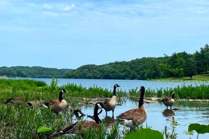 This Massive Urban Park in Kansas City, Kansas, Offers Lake Views, Forest Trails, and Unexpected Scenic Beauty