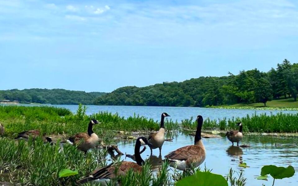 This Massive Urban Park in Kansas City, Kansas, Offers Lake Views, Forest Trails, and Unexpected Scenic Beauty