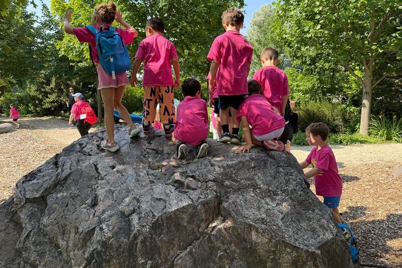 10 Illinois Nature Playgrounds Where Kids Forget About Screens
