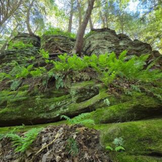12 Ohio Trails To Hike In The Final Warm Weekends Before The Leaves Turn