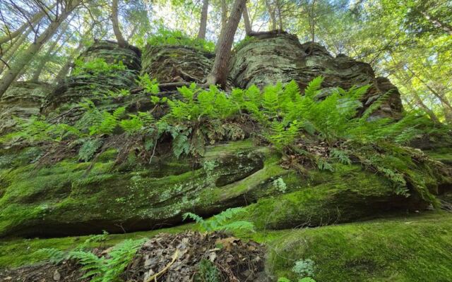 12 Ohio Trails To Hike In The Final Warm Weekends Before The Leaves Turn
