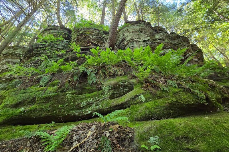12 Ohio Trails To Hike In The Final Warm Weekends Before The Leaves Turn