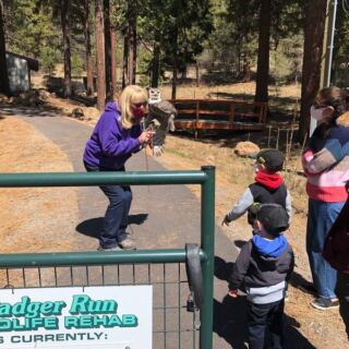 These 11 Oregon Wildlife Programs Let You Volunteer or Learn With Nothing But Curiosity to Start