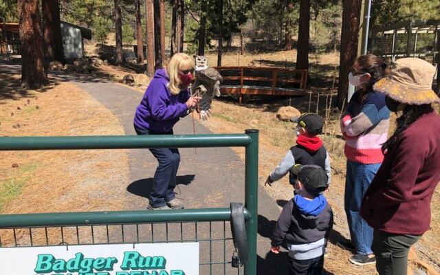 These 11 Oregon Wildlife Programs Let You Volunteer or Learn With Nothing But Curiosity to Start