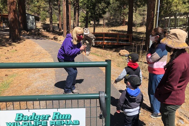 These 11 Oregon Wildlife Programs Let You Volunteer or Learn With Nothing But Curiosity to Start