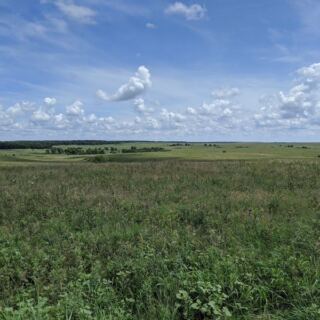 Three Horses at Sunrise May Turn This Osage County Prairie Into an Oklahoma Postcard