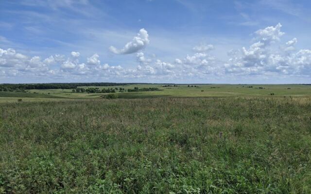 Three Horses at Sunrise May Turn This Osage County Prairie Into an Oklahoma Postcard
