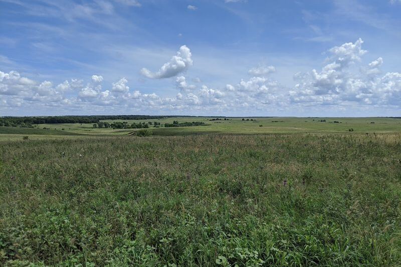 Three Horses at Sunrise May Turn This Osage County Prairie Into an Oklahoma Postcard