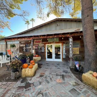 Why Arizonans Drive Out to Schnepf Farms in Queen Creek to Pick Peaches and Eat Warm Cinnamon Rolls