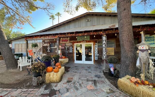 Why Arizonans Drive Out to Schnepf Farms in Queen Creek to Pick Peaches and Eat Warm Cinnamon Rolls