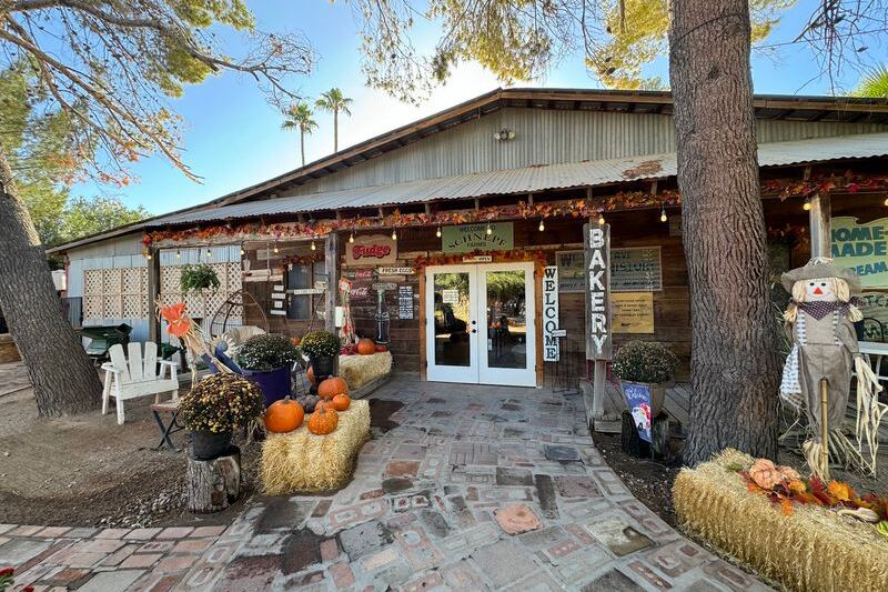 Why Arizonans Drive Out to Schnepf Farms in Queen Creek to Pick Peaches and Eat Warm Cinnamon Rolls