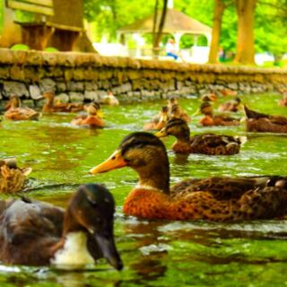 13 Must-Visit Places in Lancaster Beyond Amish Country