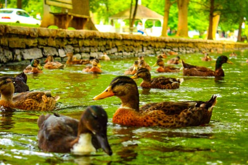 13 Must-Visit Places in Lancaster Beyond Amish Country