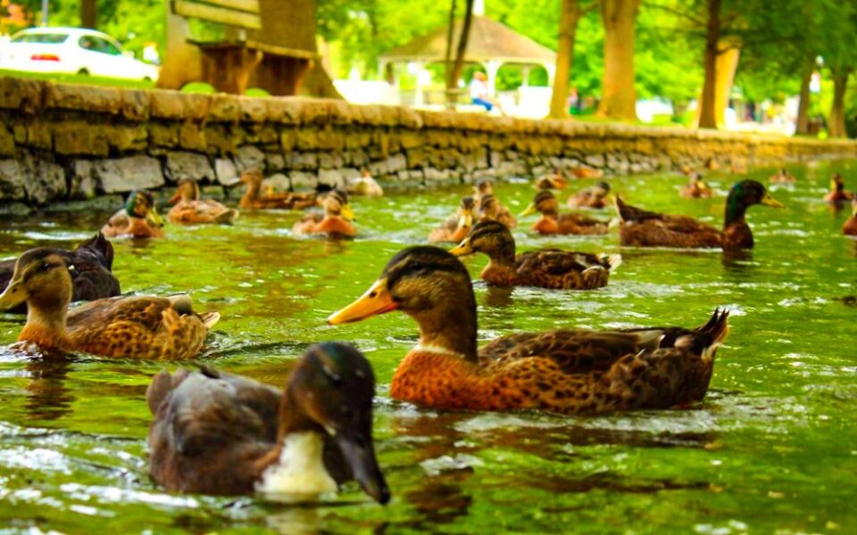 13 Must-Visit Places in Lancaster Beyond Amish Country