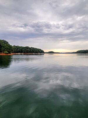 Lake Hartwell Is a Huge Man-Made South Carolina Reservoir Where Locals Swim, Boat, and Beach Their Pontoons