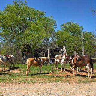 This Oklahoma City Stable Matches You to the Right Horse for a Guided Trail Ride Along Draper Lake