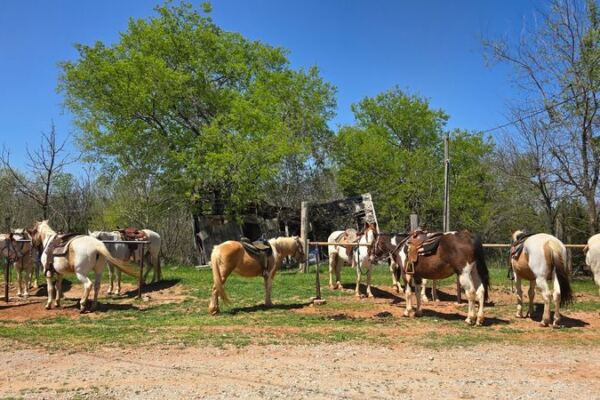 This Oklahoma City Stable Matches You to the Right Horse for a Guided Trail Ride Along Draper Lake