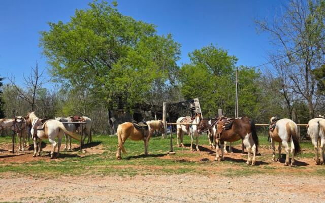 This Oklahoma City Stable Matches You to the Right Horse for a Guided Trail Ride Along Draper Lake