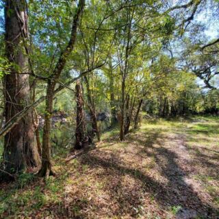 This Old Florida Rail-Trail Is Paved, Flat, And Shaded For Miles As It Rolls Through Small Towns Near Brooksville